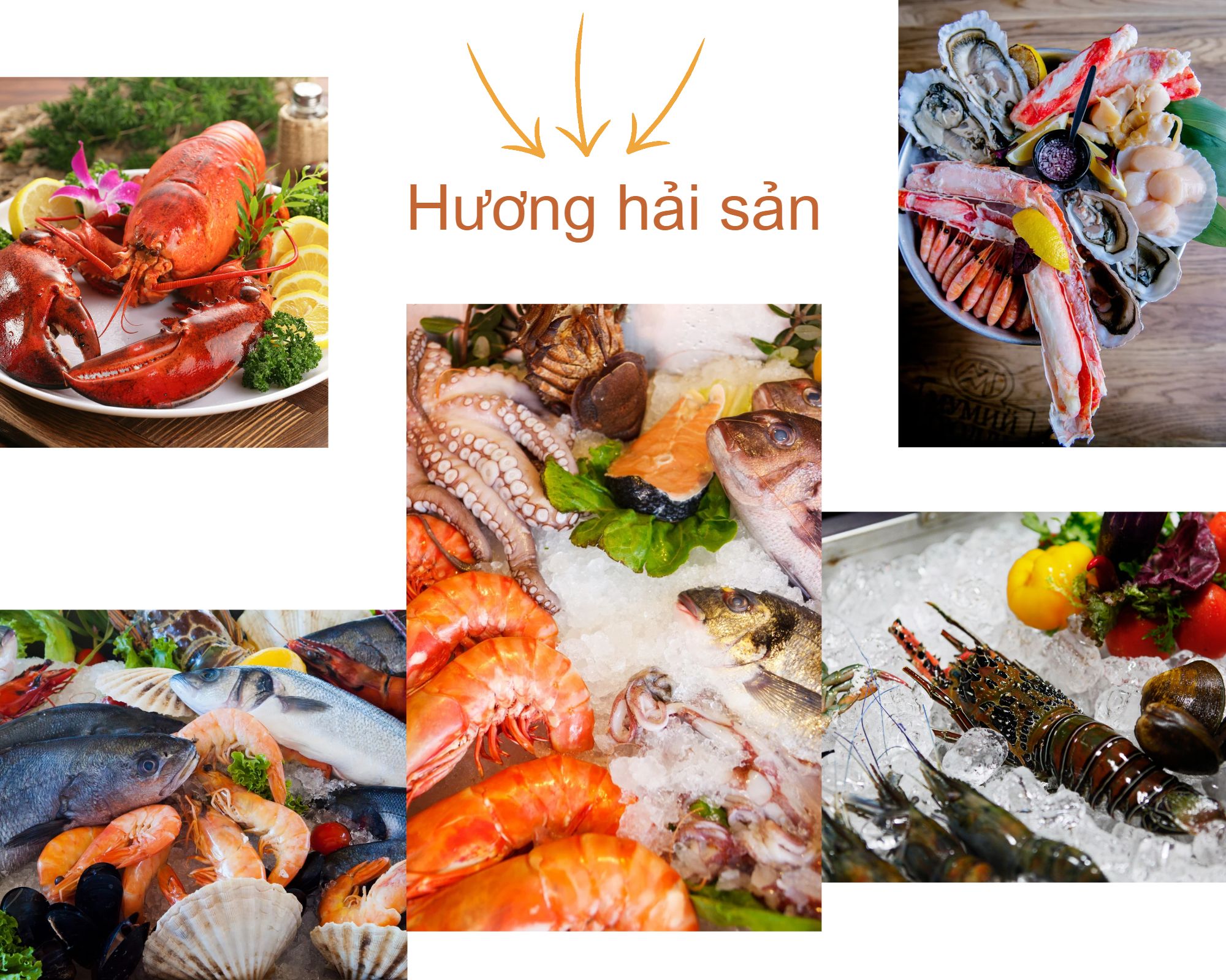 HƯƠNG HẢI SẢN - PHỤ GIA TẠO HƯƠNG